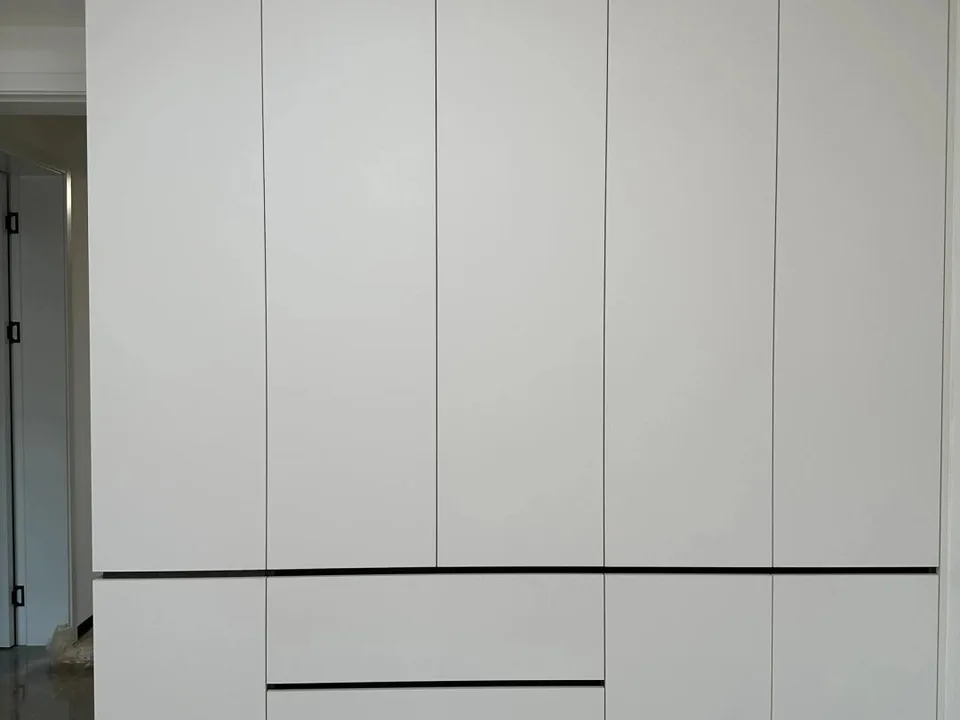 丽水全屋定制衣柜背板与柜体同色同源安装实景